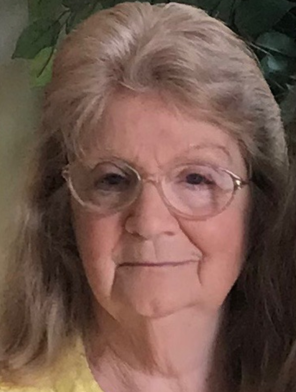 Barbara Jean Brewer Perkins